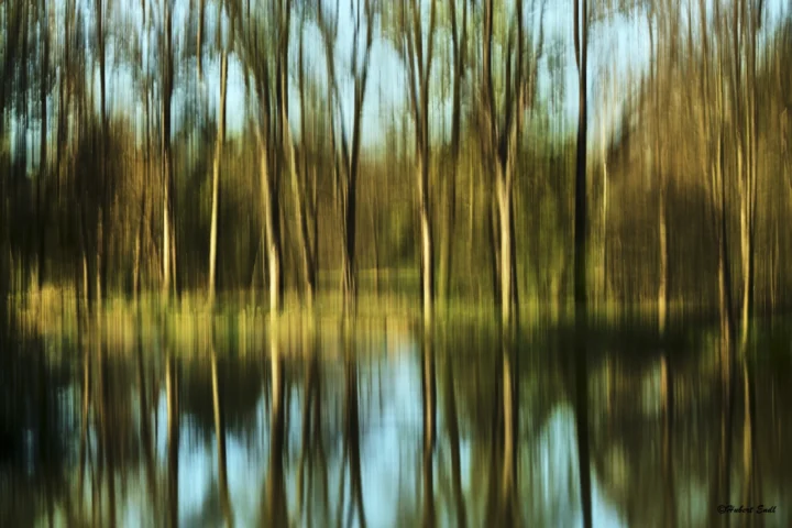 The Pond — Hubert Endl